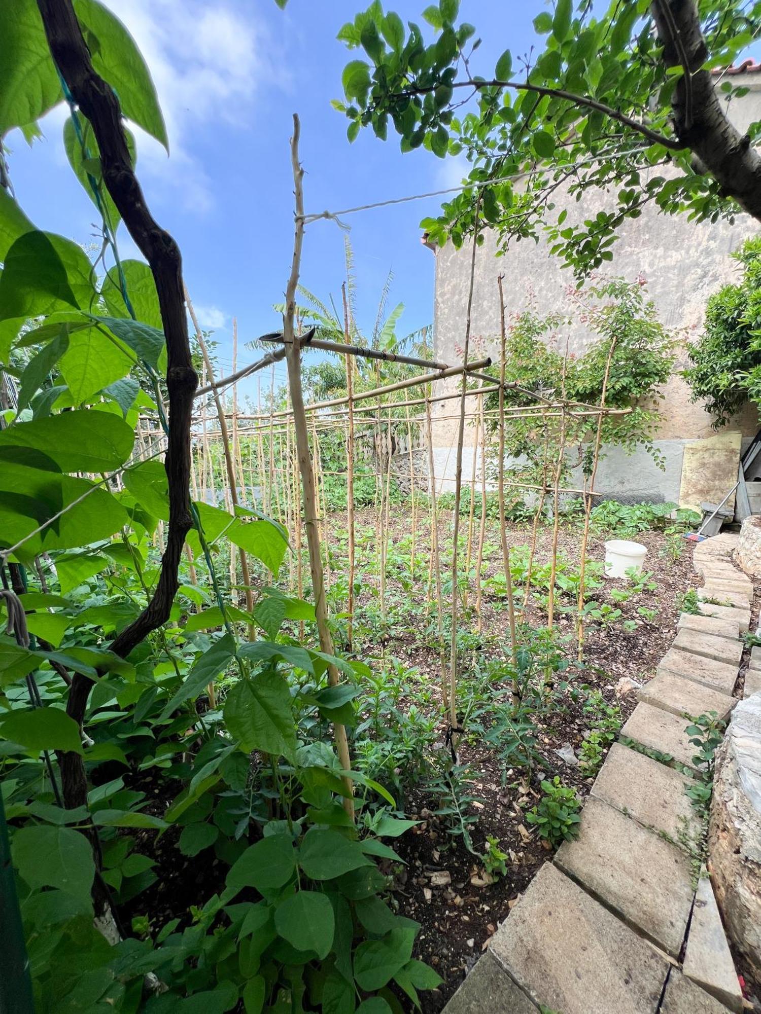 Petra Oliva Apartment Dhërmi 외부 사진