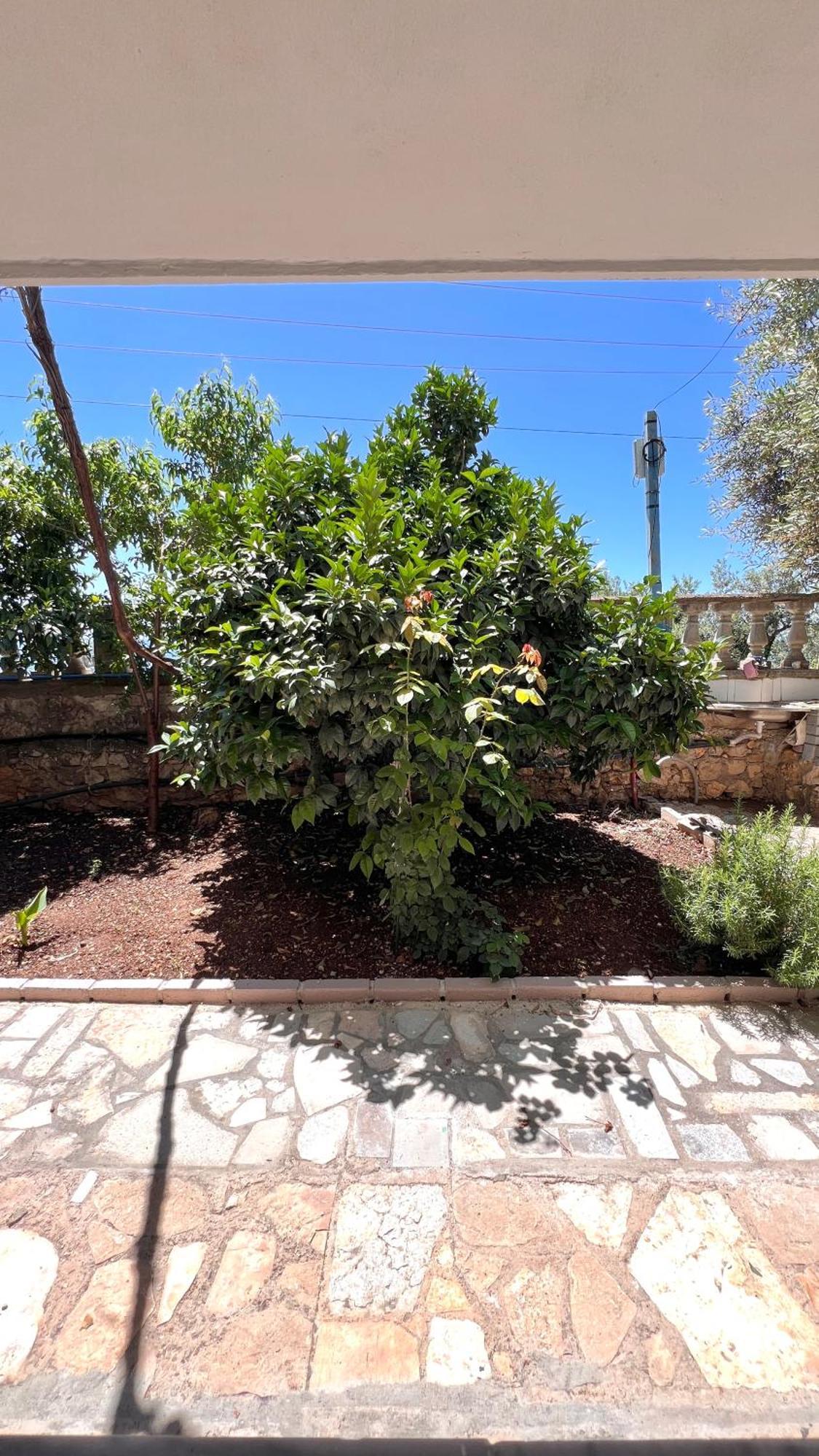 Petra Oliva Apartment Dhërmi 외부 사진